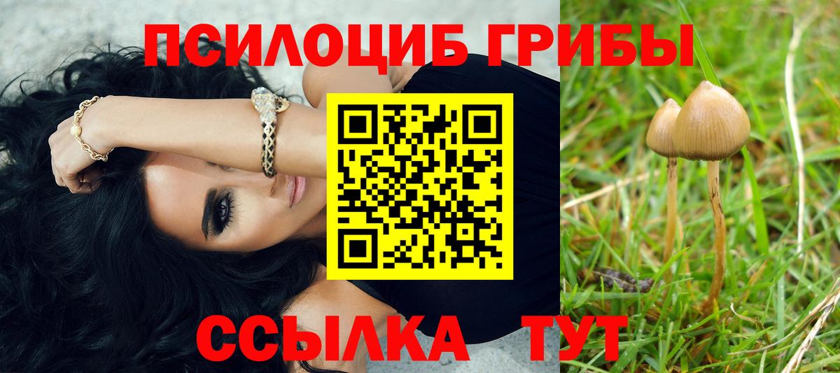 Псилоцибиновые грибы Psilocybine cubensis  Галлюциногенные грибы ЛСД  Вход с VPN  Шали 