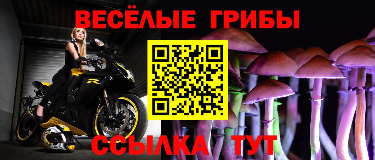 Галлюциногенные грибы Cubensis Шали